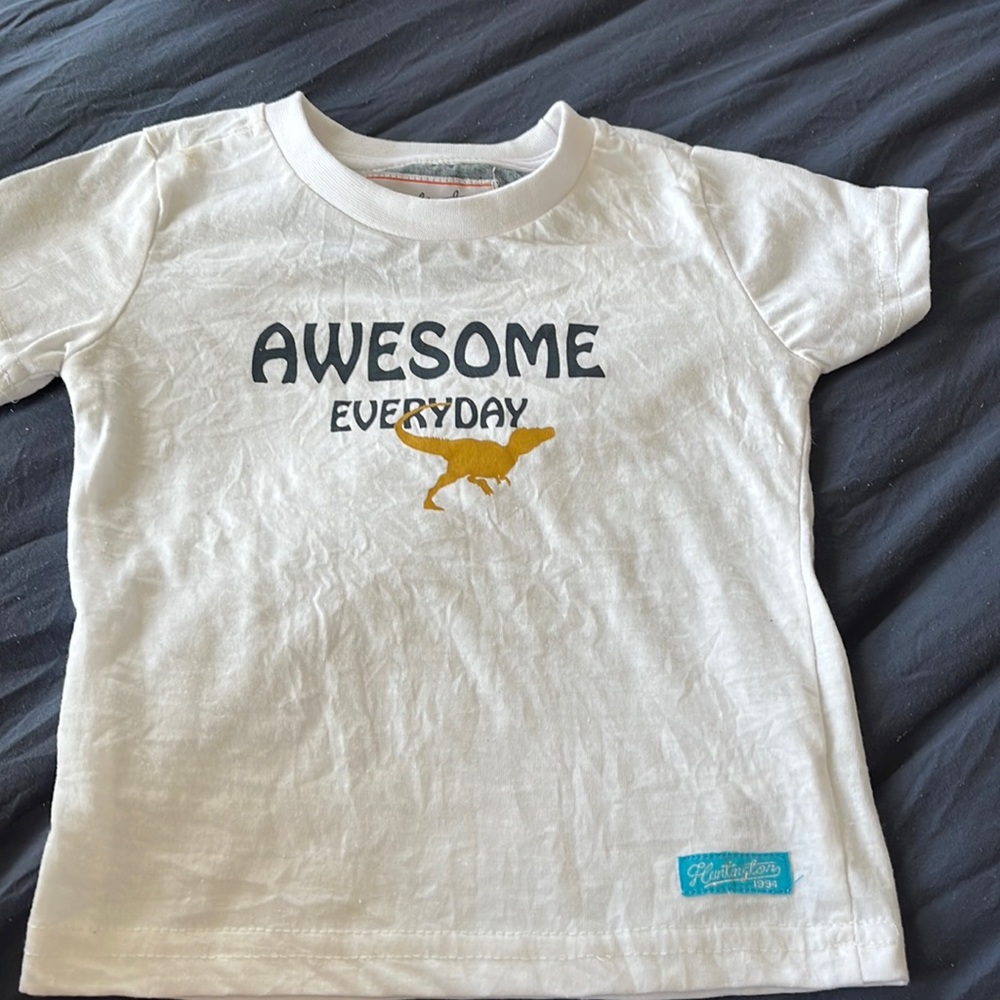 Huntington short sleeve BC boy tee shirt white with dinosaur 24 months size